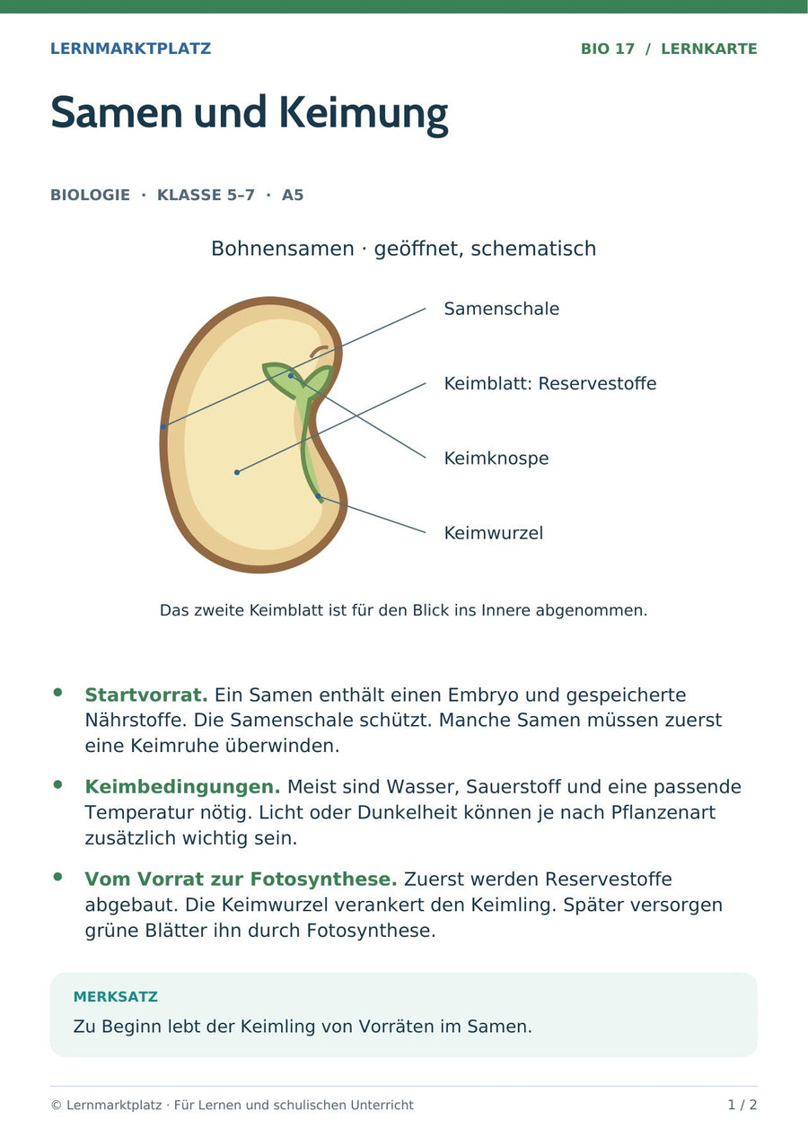 Biologie: Samen und Keimung – überarbeitete A5-Lernkarte