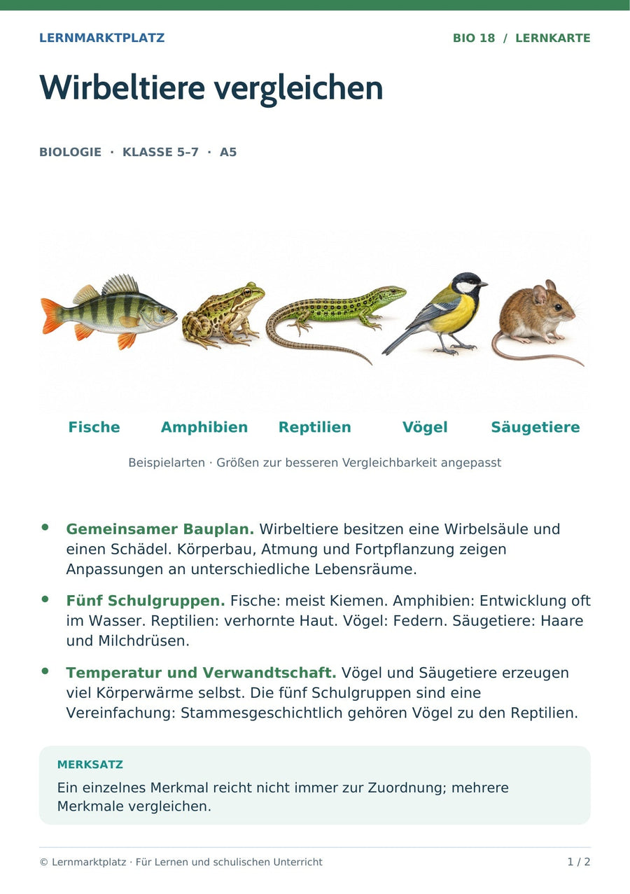 Biologie: Wirbeltiere vergleichen – überarbeitete A5-Lernkarte