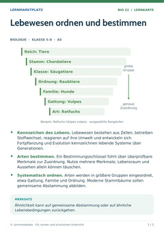 Biologie Lernkarte: Lebewesen ordnen und bestimmen (A5-PDF)
