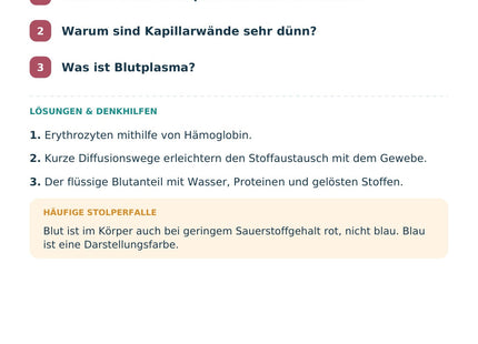 Biologie: Blut und Blutgefäße – Selbstcheck mit Lösungen
