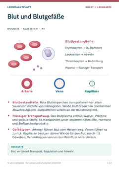 Biologie Lernkarte: Blut und Blutgefäße (A5-PDF)