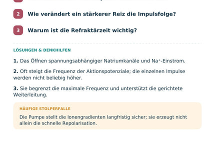 Biologie: Ruhe- und Aktionspotenzial – Selbstcheck mit Lösungen
