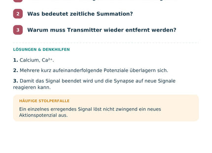 Biologie: Synapse und Signalübertragung – Selbstcheck mit Lösungen