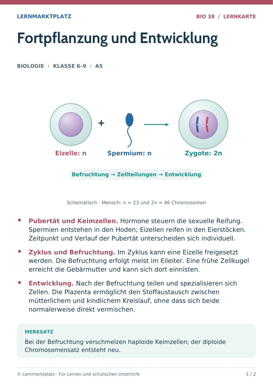 Biologie: Fortpflanzung und Entwicklung – überarbeitete A5-Lernkarte