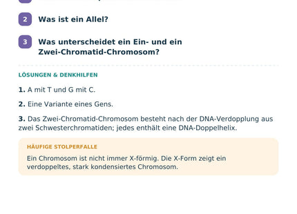 Biologie: DNA, Gene und Chromosomen – Selbstcheck mit Lösungen