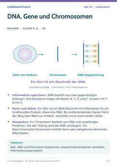 Biologie Lernkarte: DNA, Gene und Chromosomen (A5-PDF)