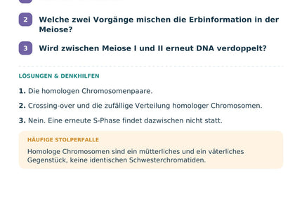Biologie: Meiose und genetische Vielfalt – Selbstcheck mit Lösungen