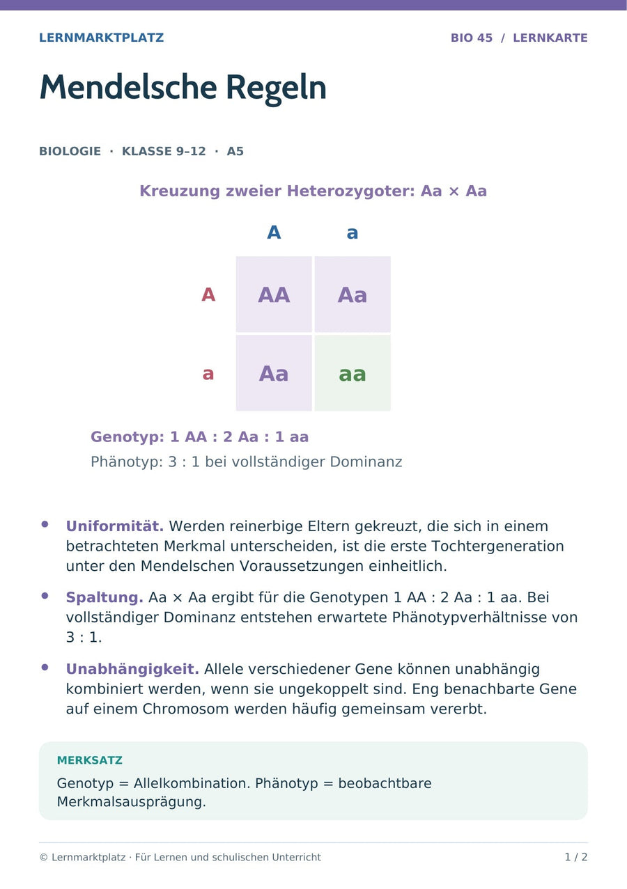 Biologie: Mendelsche Regeln – überarbeitete A5-Lernkarte