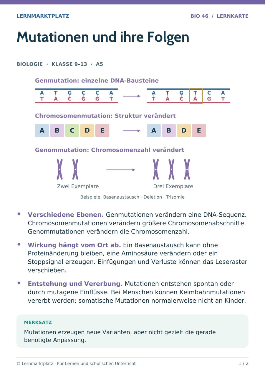 Biologie: Mutationen und ihre Folgen – überarbeitete A5-Lernkarte