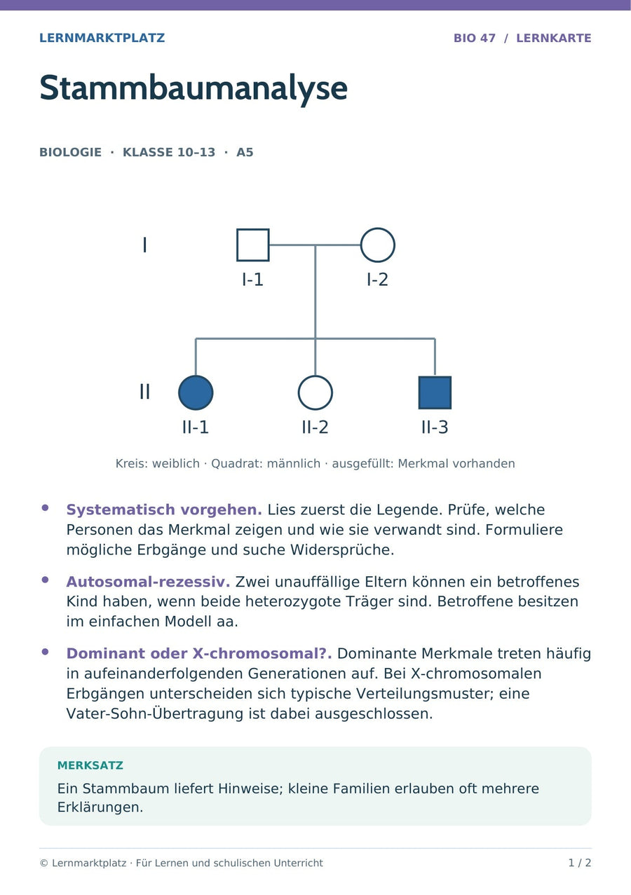 Biologie: Stammbaumanalyse – überarbeitete A5-Lernkarte