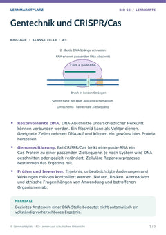 Biologie Lernkarte: Gentechnik und CRISPR/Cas (A5-PDF)
