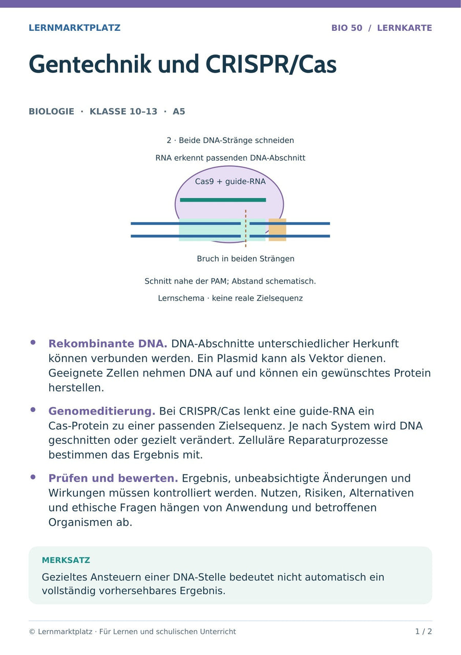 Biologie: Gentechnik und CRISPR/Cas – überarbeitete A5-Lernkarte