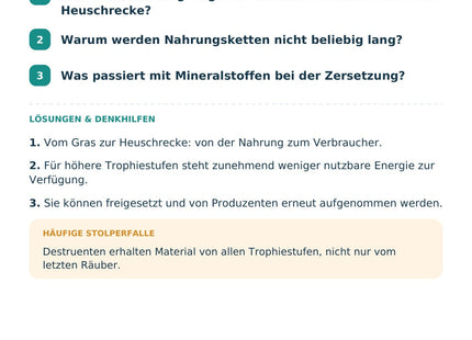 Biologie: Nahrungsnetze und Energiefluss – Selbstcheck mit Lösungen