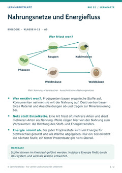 Biologie Lernkarte: Nahrungsnetze und Energiefluss (A5-PDF)