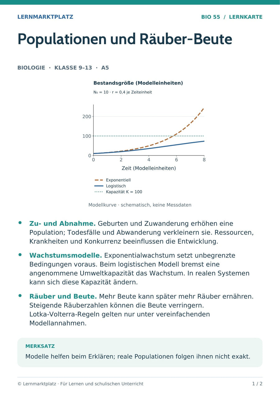 Biologie: Populationen und Räuber-Beute – überarbeitete A5-Lernkarte