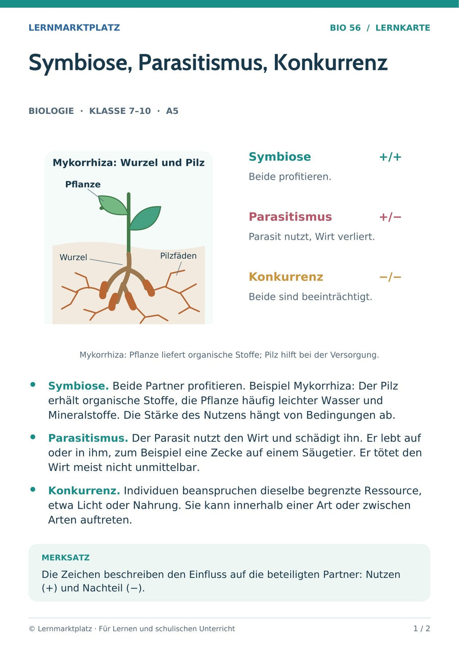 Biologie: Symbiose, Parasitismus, Konkurrenz – überarbeitete A5-Lernkarte