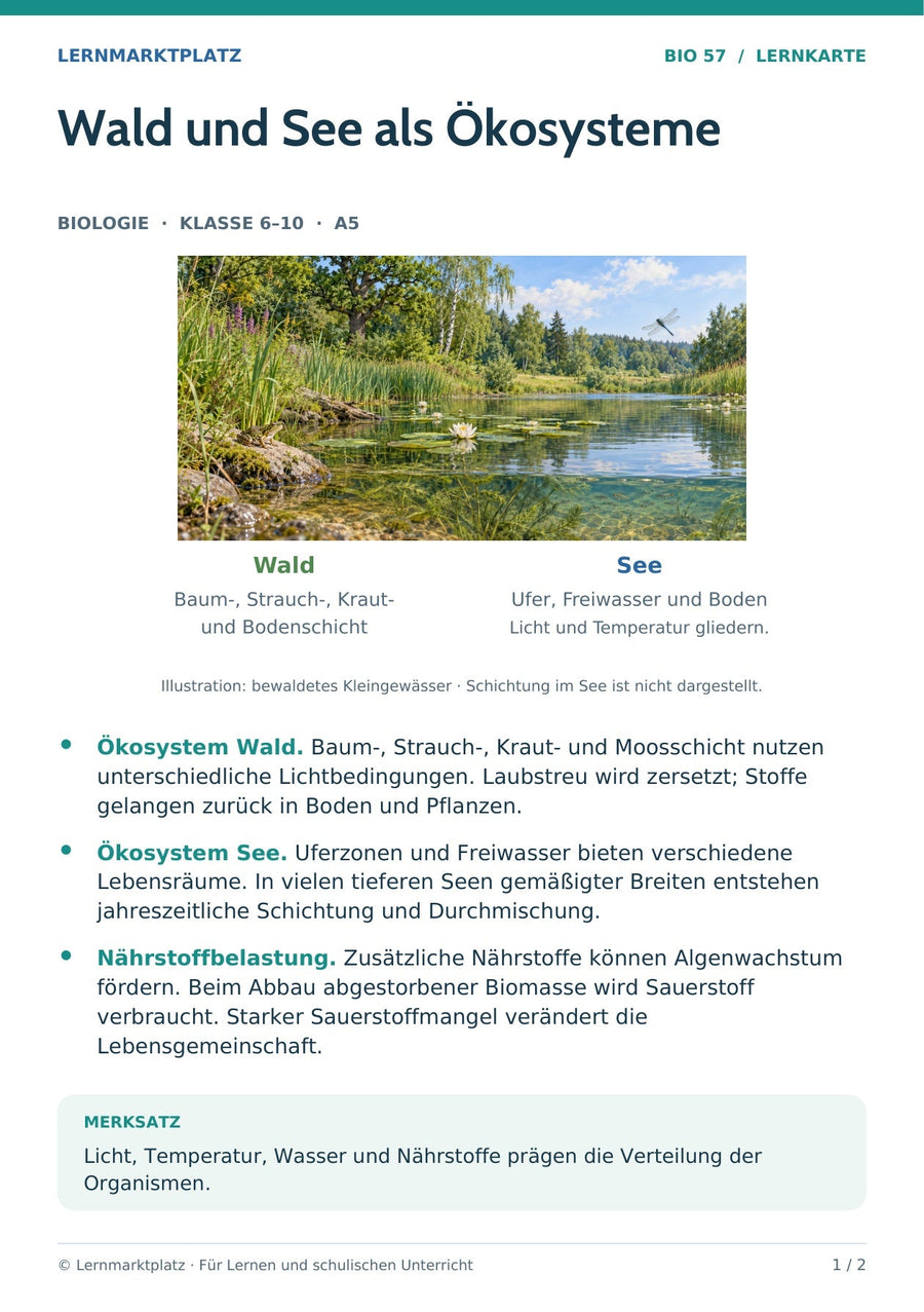 Biologie: Wald und See als Ökosysteme – überarbeitete A5-Lernkarte