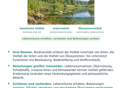 Biologie: Biodiversität und Klimawandel – überarbeitete A5-Lernkarte