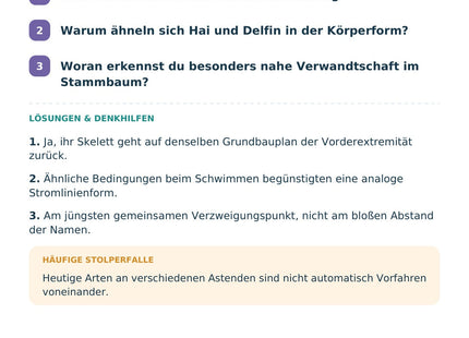 Biologie: Evolutionsbelege und Stammbäume – Selbstcheck mit Lösungen