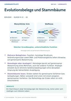 Biologie Lernkarte: Evolutionsbelege und Stammbäume (A5-PDF)