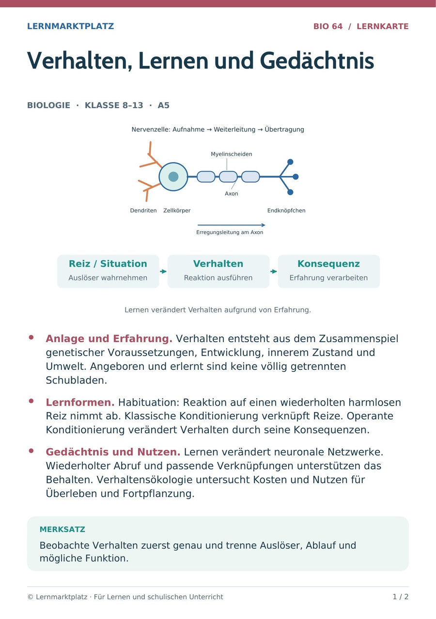 Biologie: Verhalten, Lernen und Gedächtnis – überarbeitete A5-Lernkarte