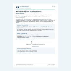 Esterbildung und Esterhydrolyse – kostenloses Chemie-Arbeitsblatt mit Lösungen (PDF)