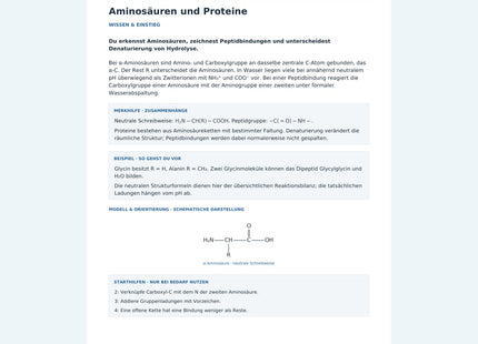 Aminosäuren und Proteine – Chemie-Arbeitsblatt mit Lösungen