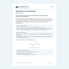 Aminosäuren und Proteine – kostenloses Chemie-Arbeitsblatt mit Lösungen (PDF)