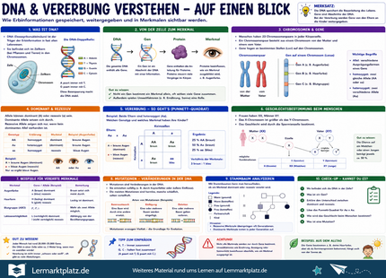DNA & Vererbung verstehen – Gene, Chromosomen & Erbinformation einfach erklärt – Lernposter / Lernplakat als PDF