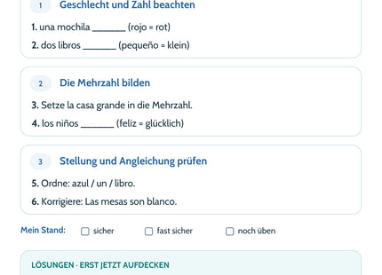 Spanisch Lernkarte Adjetivos: Selbstcheck mit sechs Aufgaben und Lösungen