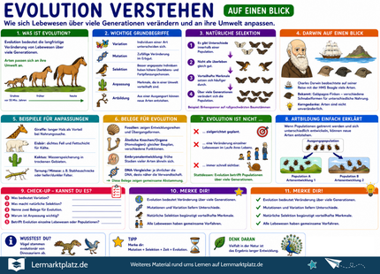 Evolution verstehen – Anpassung, Selektion & Artenentwicklung einfach erklärt – Lernposter / Lernplakat als PDF