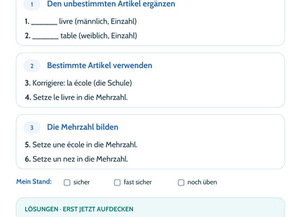 Französisch Lernkarte Artikel & Nomen: Selbstcheck mit sechs Aufgaben und Lösungen