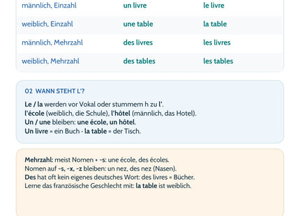Französisch Lernkarte Artikel & Nomen: Übersicht mit Regeln und Beispielen