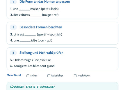 Französisch Lernkarte Adjektive: Selbstcheck mit sechs Aufgaben und Lösungen