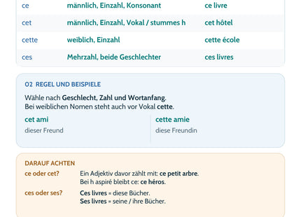 Französisch Lernkarte: Demonstrativbegleiter – ce, cet, cette, ces – Merkübersicht, Regeln und Beispiele