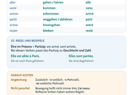Französisch Lernkarte: Passé composé mit être – Angleichung – Merkübersicht, Regeln und Beispiele