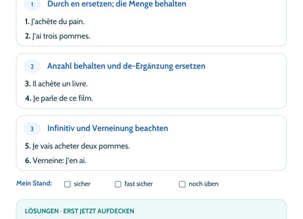 Französisch Lernkarte Das Pronomen en: Selbstcheck mit sechs Aufgaben und Lösungen