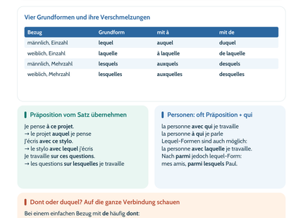 Französisch Lernposter: Lequel, laquelle, auquel und duquel. Vorschau der A4-Fassung, ebenfalls als A3 erhältlich.