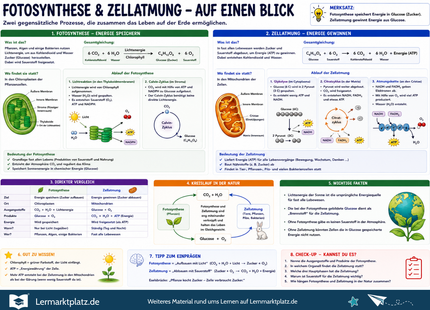 Fotosynthese & Zellatmung verstehen – Energie in Pflanzen und Zellen einfach erklärt – Lernposter / Lernplakat als PDF