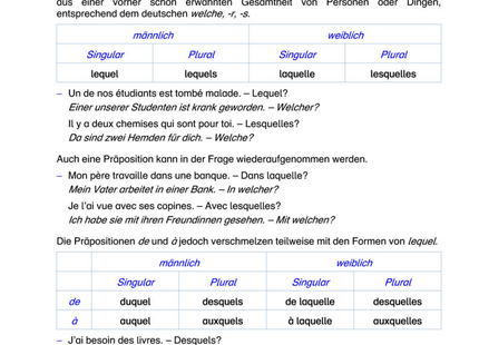 Französisch Arbeitsblatt: Fragepronomen lequel & quoi