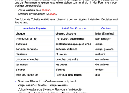 Französisch Arbeitsblatt: Indefinite Begleiter & Pronomen