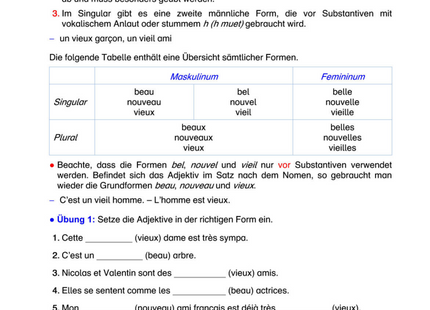 Französisch Arbeitsblatt: beau, vieux, nouveau – Formen, Gebrauch & Übungen