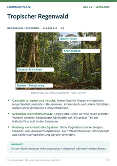 Geographie / Erdkunde Lernkarte: Tropischer Regenwald (A5-PDF)