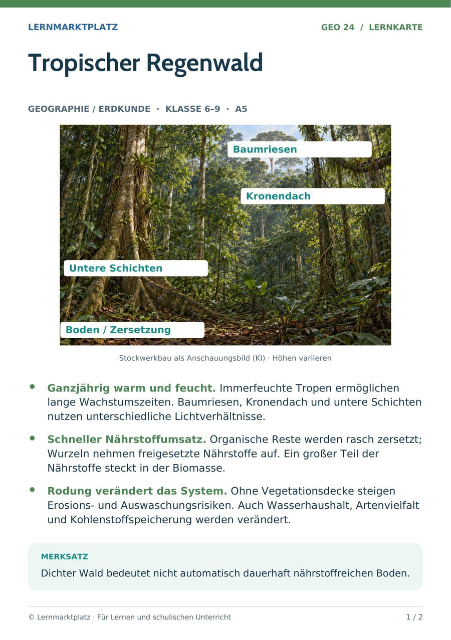 Geographie / Erdkunde: Tropischer Regenwald – Vorderseite der A5-Lernkarte