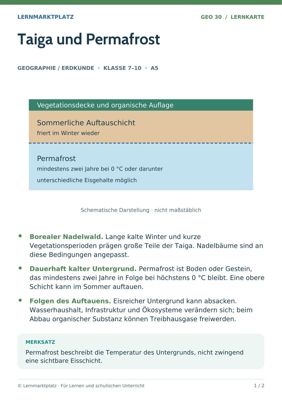 Geographie / Erdkunde: Taiga und Permafrost – Vorderseite der A5-Lernkarte