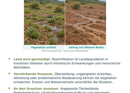 Geographie / Erdkunde: Desertifikation und Bodenschutz – Vorderseite der A5-Lernkarte