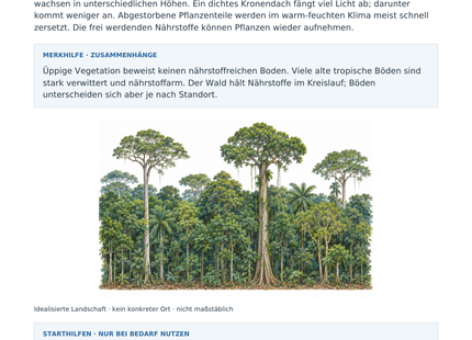 Tropischer Regenwald – Vorschau des Arbeitsblatts