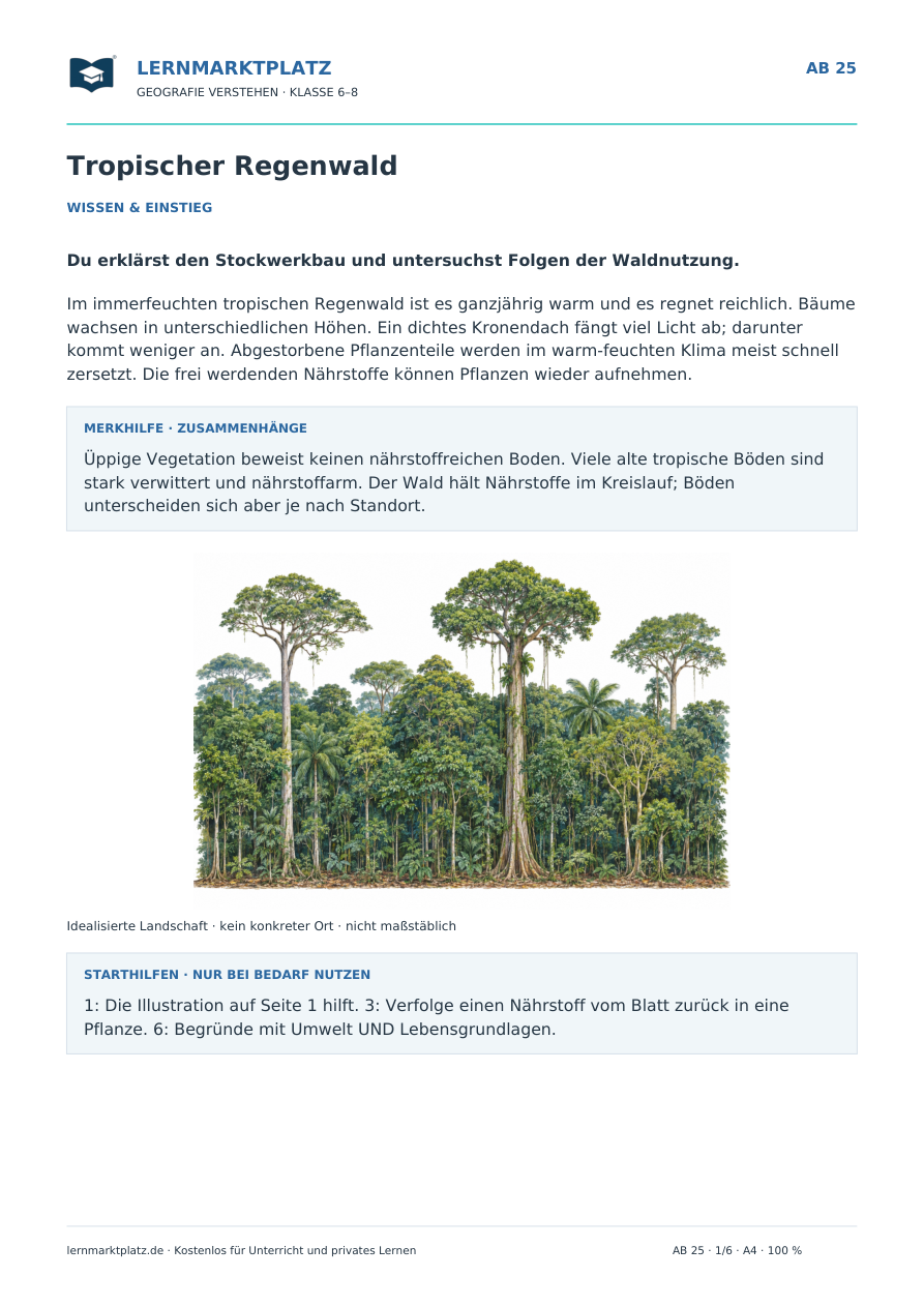 Tropischer Regenwald – Vorschau des Arbeitsblatts