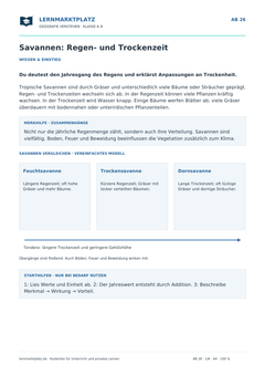 Savannen: Regen- und Trockenzeit – kostenloses Geografie-Arbeitsblatt mit Lösungen (PDF)