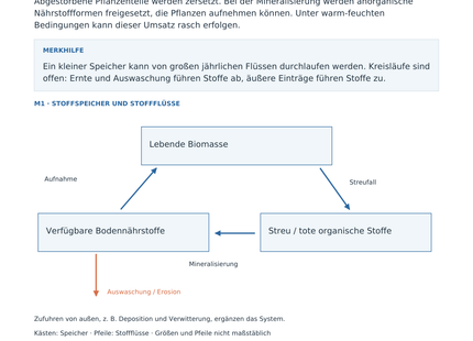 Nährstoffkreislauf im tropischen Regenwald – Wissensseite des Geografie-Arbeitsblatts für Klasse 10–13